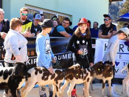 2019_ausstellung polling_497